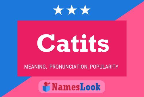 Catits 名字海报