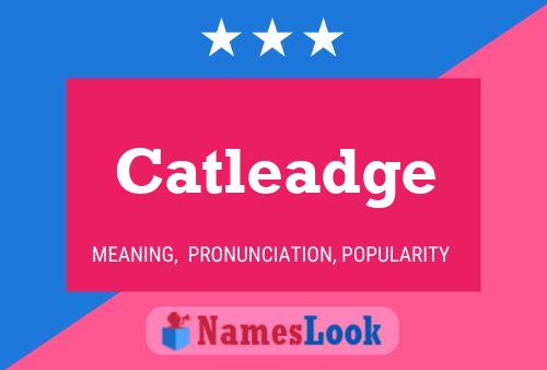 Catleadge 名字海报