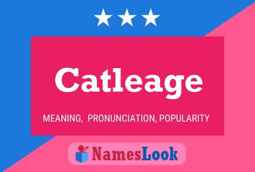 Catleage 名字海报