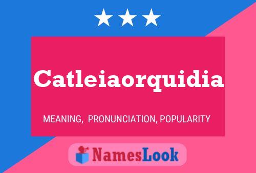 Catleiaorquidia 名字海报