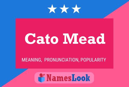 Cato Mead 名字海报