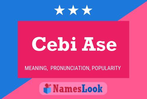 Cebi Ase 名字海报