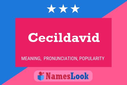 Cecildavid 名字海报