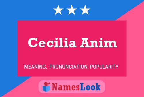 Cecilia Anim 名字海报