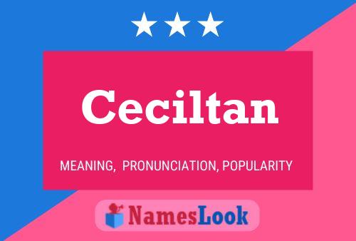 Ceciltan 名字海报