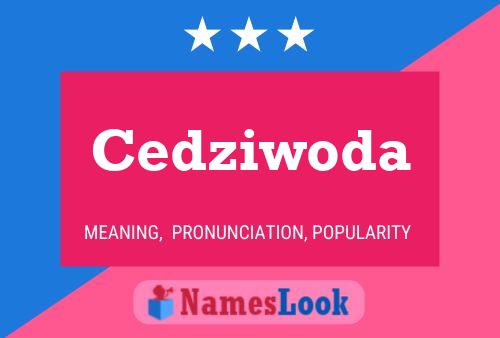 Cedziwoda 名字海报