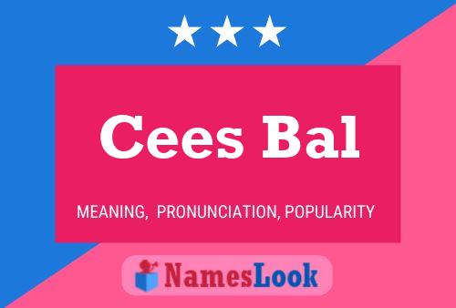 Cees Bal 名字海报