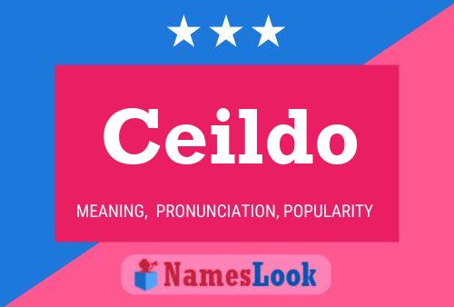 Ceildo 名字海报