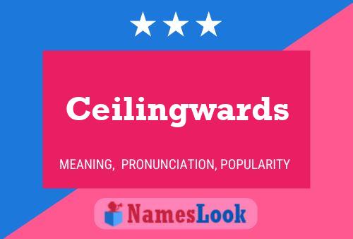 Ceilingwards 名字海报