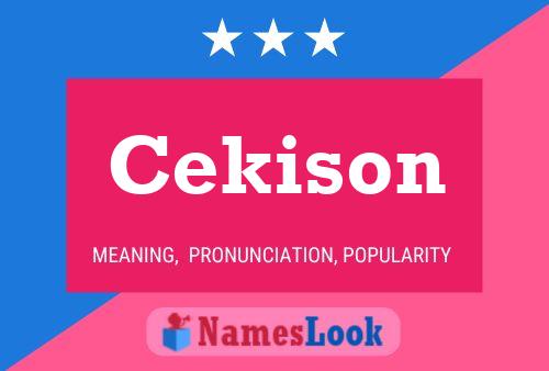 Cekison 名字海报