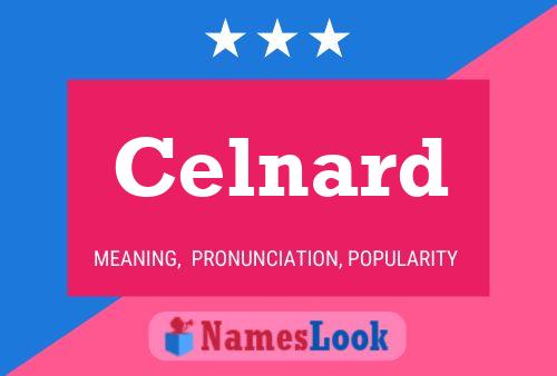 Celnard 名字海报