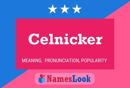 Celnicker 名字海报