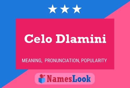 Celo Dlamini 名字海报