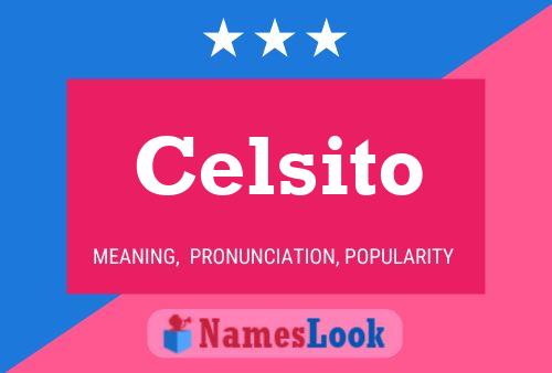 Celsito 名字海报