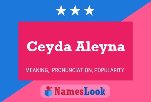 Ceyda Aleyna 名字海报