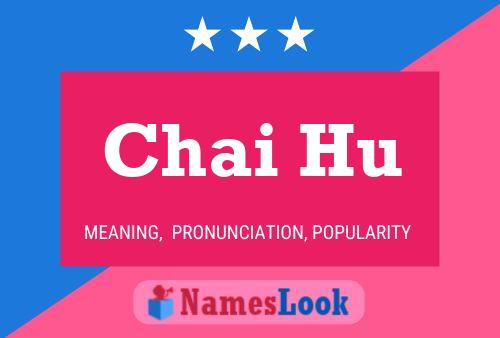 Chai Hu 名字海报