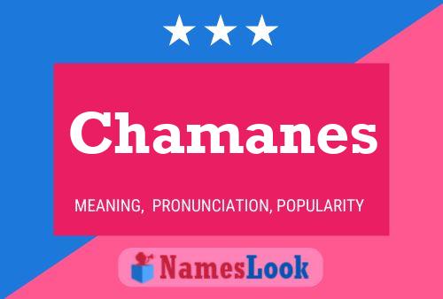 Chamanes 名字海报