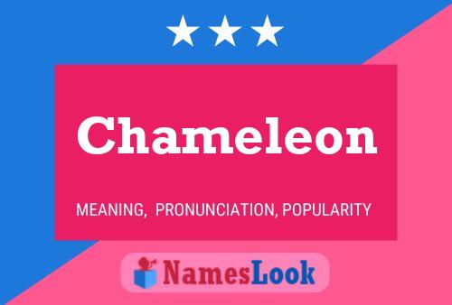 Chameleon 名字海报