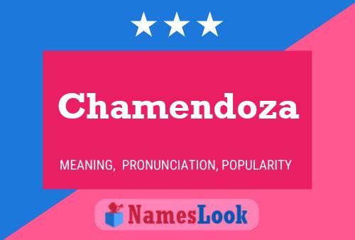 Chamendoza 名字海报