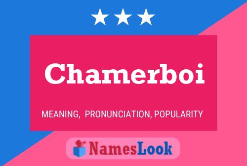 Chamerboi 名字海报