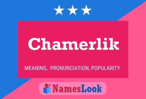 Chamerlik 名字海报