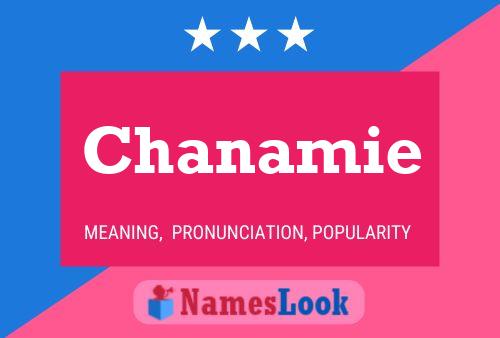 Chanamie 名字海报