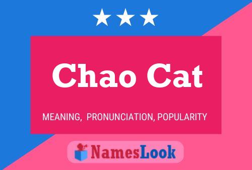 Chao Cat 名字海报