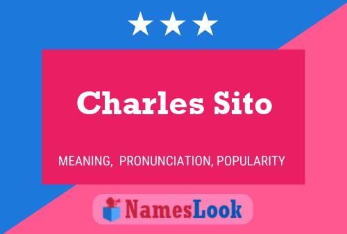 Charles Sito 名字海报