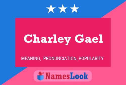 Charley Gael 名字海报