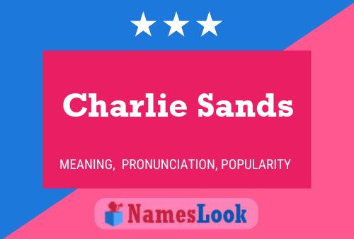 Charlie Sands 名字海报