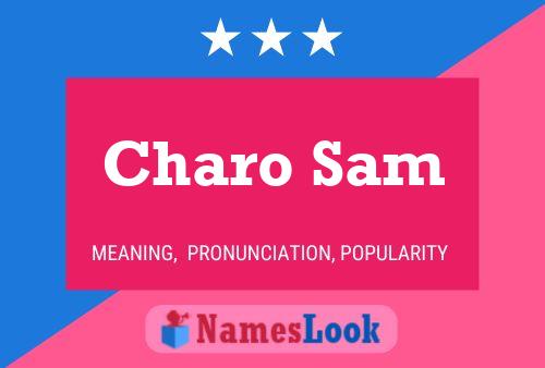 Charo Sam 名字海报