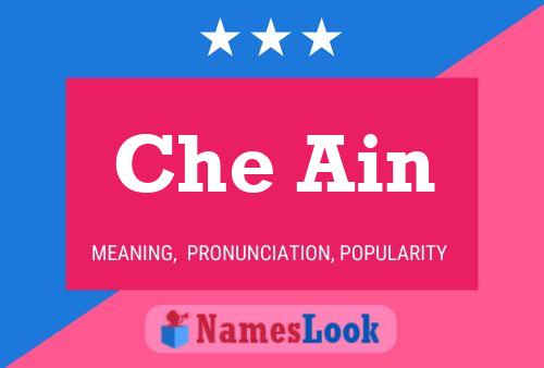 Che Ain 名字海报