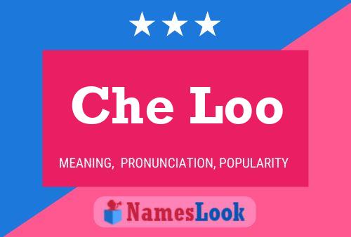 Che Loo 名字海报