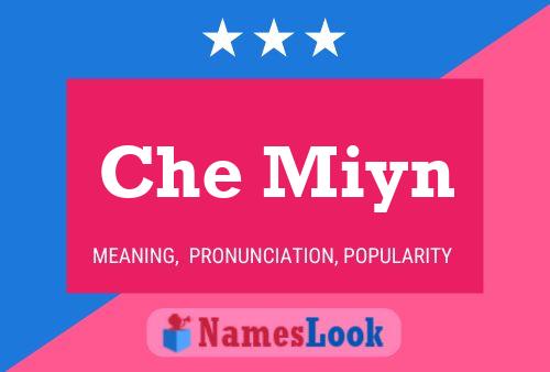 Che Miyn 名字海报