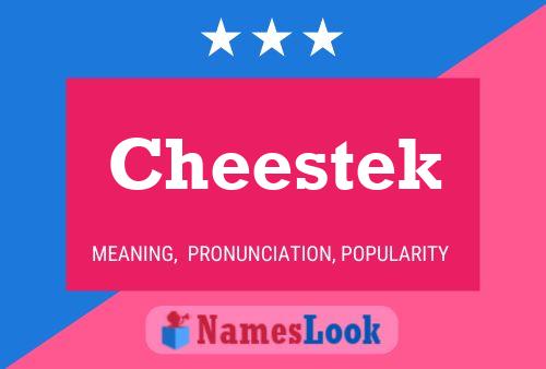 Cheestek 名字海报