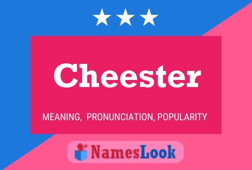 Cheester 名字海报