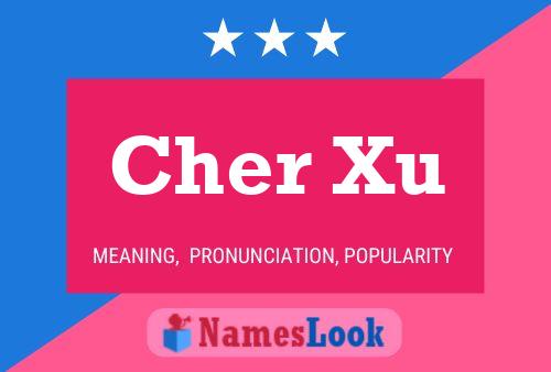 Cher Xu 名字海报