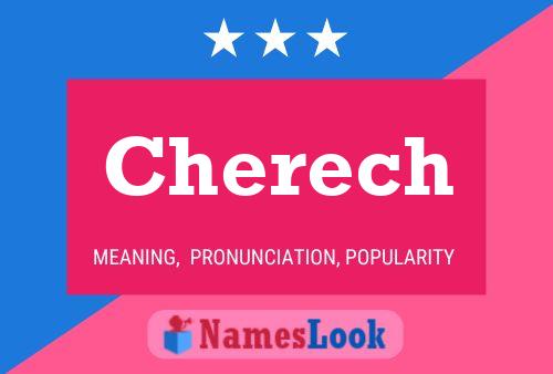 Cherech 名字海报