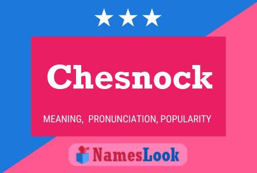 Chesnock 名字海报