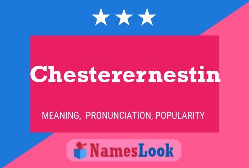 Chesterernestin 名字海报