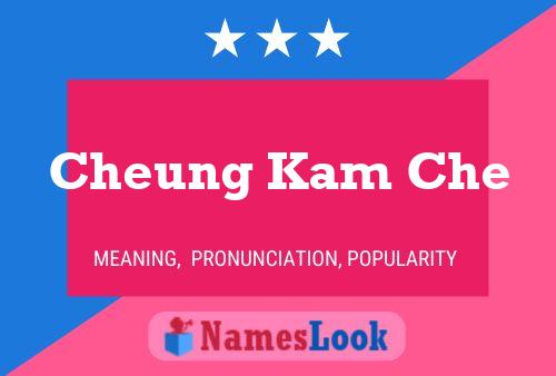 Cheung Kam Che 名字海报