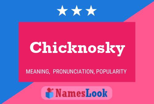 Chicknosky 名字海报