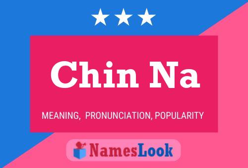 Chin Na 名字海报