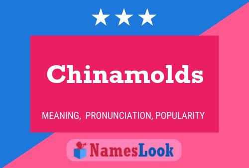 Chinamolds 名字海报