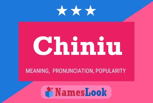 Chiniu 名字海报