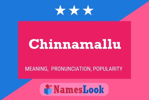 Chinnamallu 名字海报