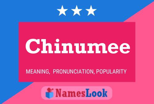 Chinumee 名字海报