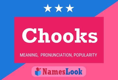 Chooks 名字海报