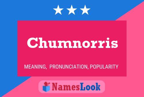 Chumnorris 名字海报