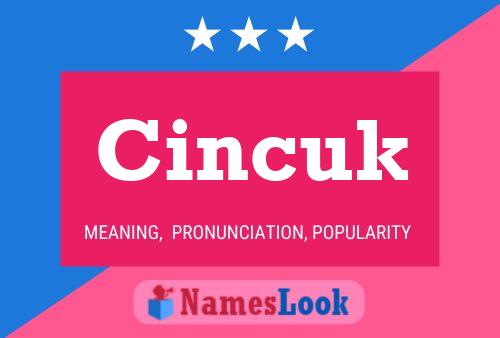 Cincuk 名字海报